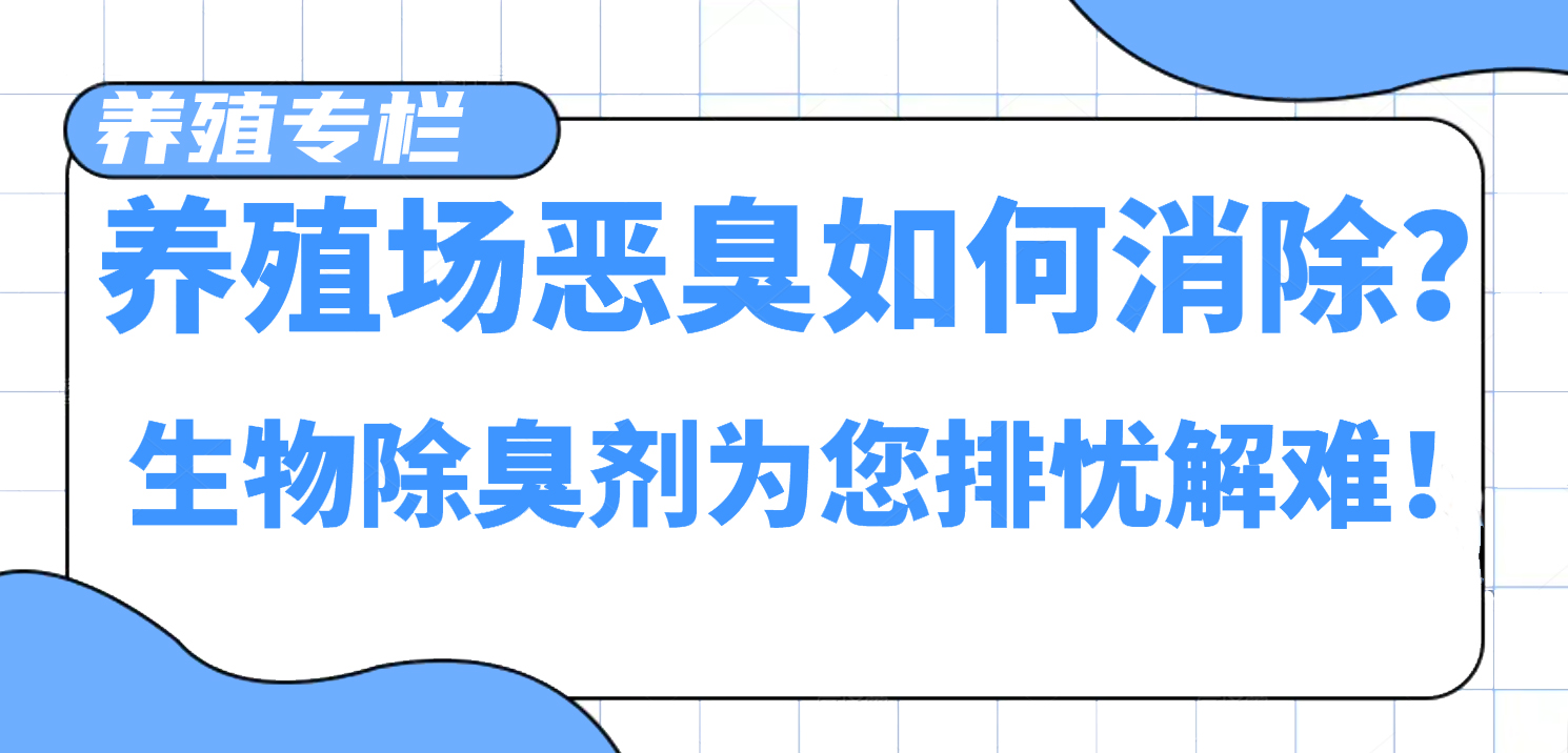 1b121da6cd934097a3a765bfd17c9add_5