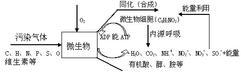 污水处置厂除臭