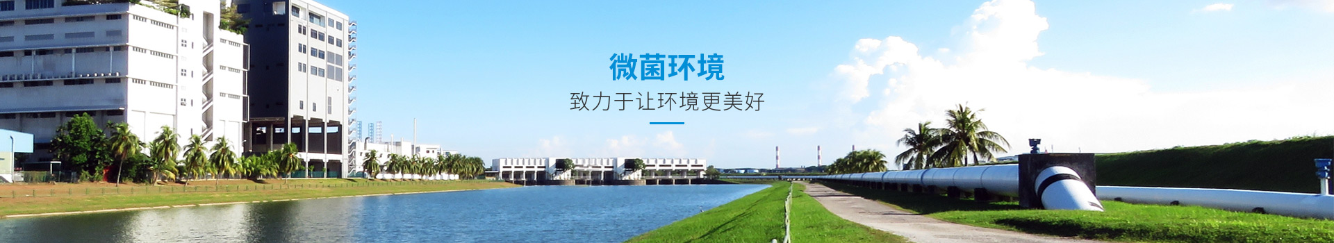 携手微菌，守护绿色家园