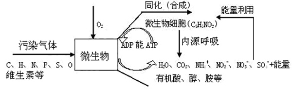 传染物的转化机理